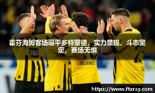 霍芬海姆客场逼平多特蒙德，实力显现，斗志坚定，赛场无惧